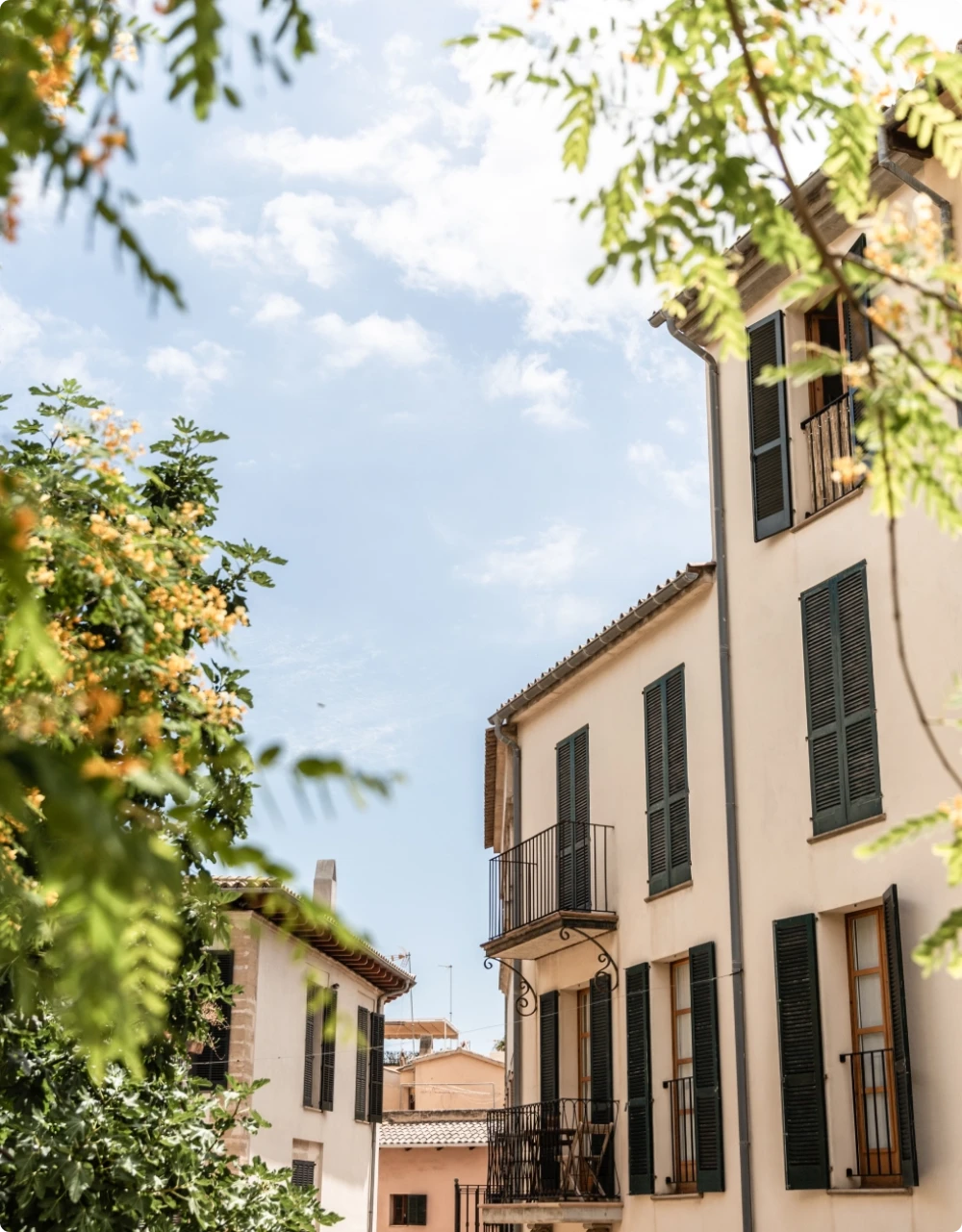 Vista exterior de una propiedad, árboles verdes y cielo azul.